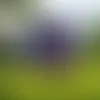 Custom Size Birthday Party Yard Sign