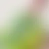 Clear Stickers - Custom Stickers Now