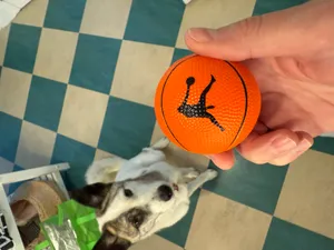 CustomStickersNow.Com