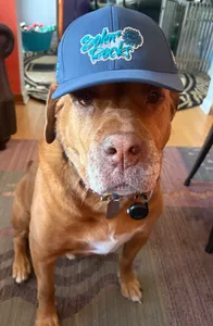 CustomStickersNow.Com - Full Color TPU