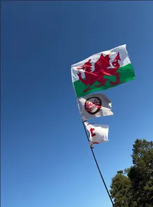 CustomStickersNow.Com - Rectangle Flag