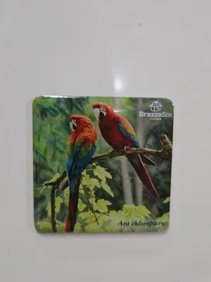 Collectable item that our company sent to our customers