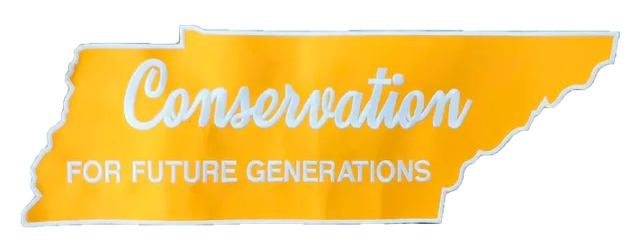 CustomStickersNow.Com