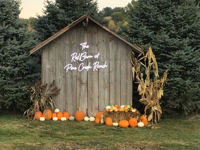 CustomStickersNow.Com