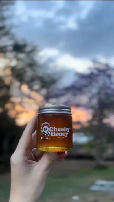 CustomStickersNow.Com - Transfer Stickers