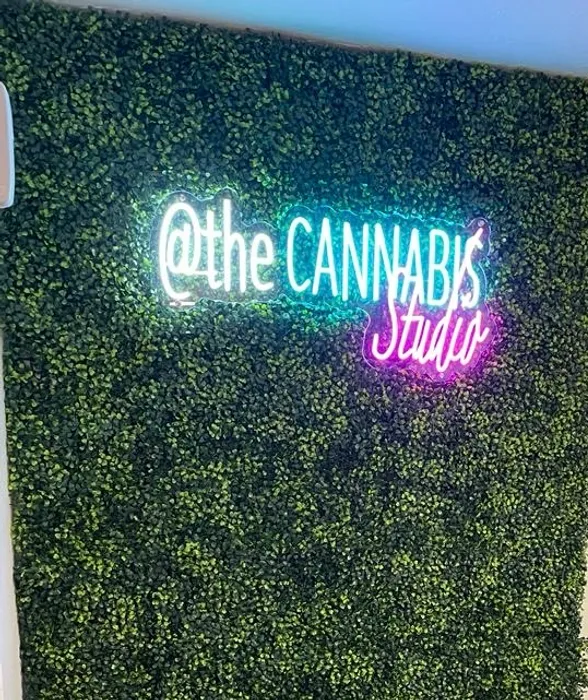 CustomStickersNow.Com - Artwork Neon Sign