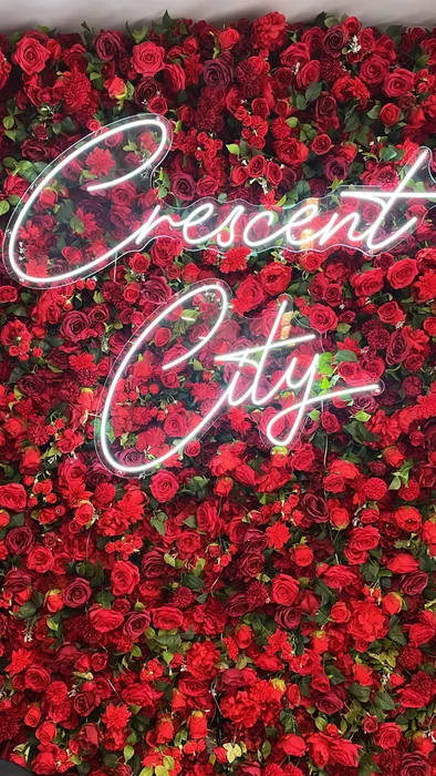 CustomStickersNow.Com - Custom Neon Sign