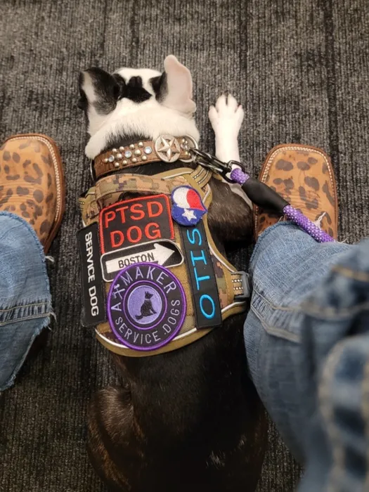 CustomStickersNow.Com - Embroidered Patches