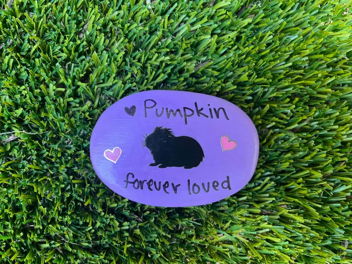 CustomStickersNow.Com - Transfer Stickers