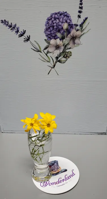 CustomStickersNow.Com - Pulpboard Coasters