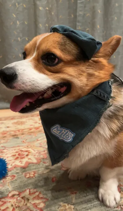 CustomStickersNow.Com - Embroidered Patches