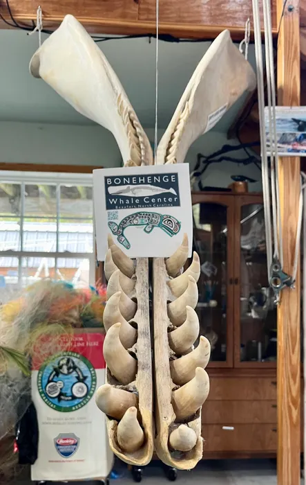 CustomStickersNow.Com - Custom Paper Luncheon Napkins