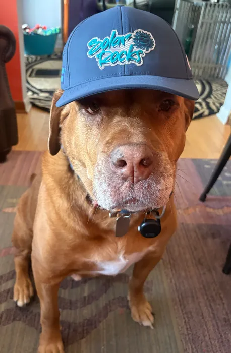 CustomStickersNow.Com - Full Color TPU