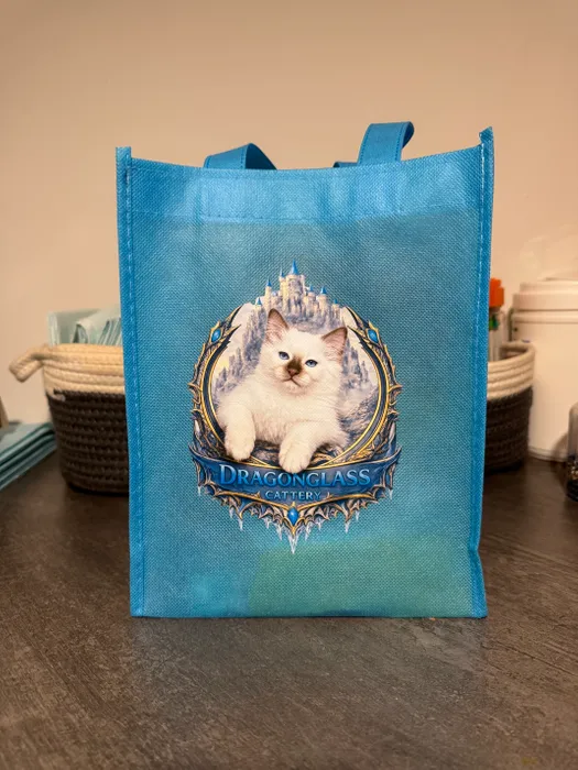 CustomStickersNow.Com - Custom Small Gift Tote Bag