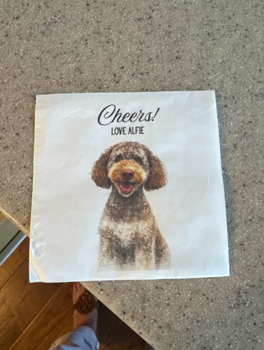 CustomStickersNow.Com - Custom Paper Beverage Napkin