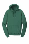 Port & Company Beach Wash Garment-Dyed Pullover Hooded Sweatshirt. PC098H Nordic Green