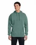 Comfort Colors Adult Hooded Sweatshirt Light Green