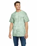 Comfort Colors Adult Heavyweight Color Blast T-Shirt Fern
