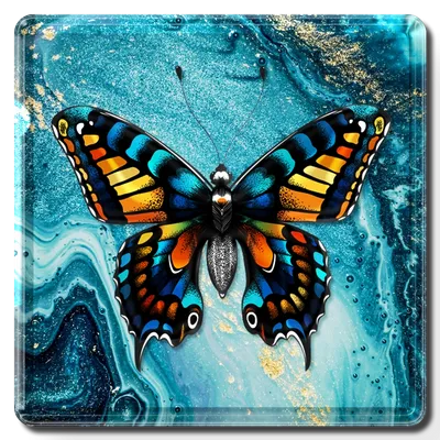 Square - Custom Stickers Now