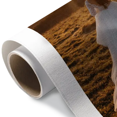 Rolled Canvas Rolled Canvas - Custom Stickers Now