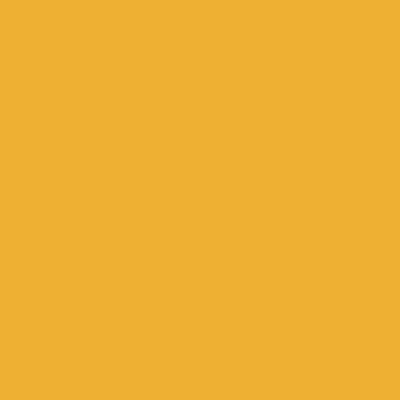 Orange - Custom Stickers Now