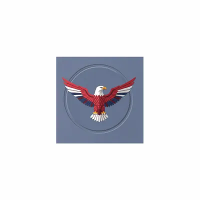 5 in x 5 in - Custom Stickers Now