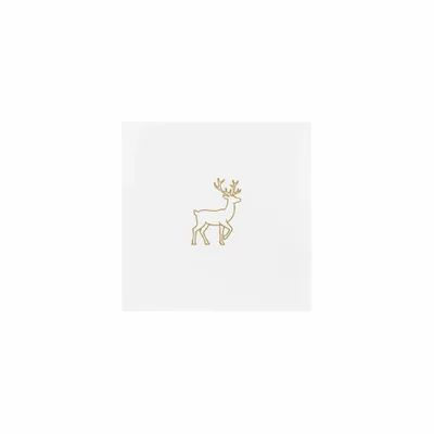 5 in x 5 in - Custom Stickers Now