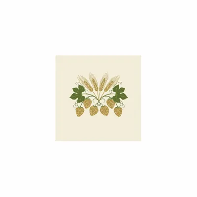 5 in x 5 in - Custom Stickers Now