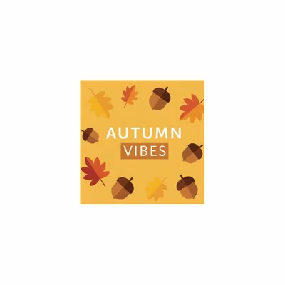 5 in x 5 in - Custom Stickers Now