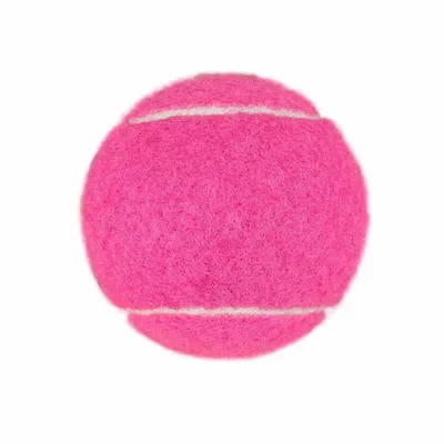 Fuchsia - Custom Stickers Now