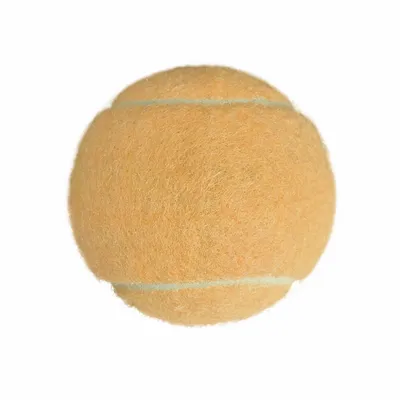 Rice Orange - Custom Stickers Now