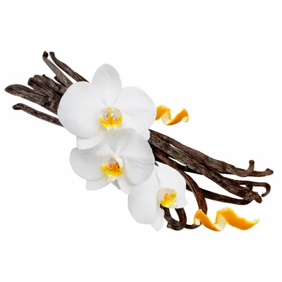 Vanilla - Custom Stickers Now