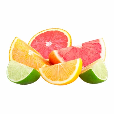 Citrus - Custom Stickers Now