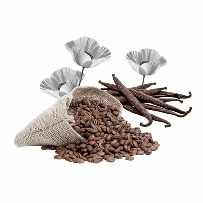 Black Opium - Custom Stickers Now