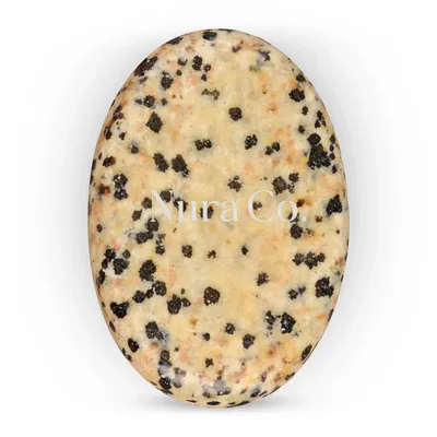 Dalmatian - Custom Stickers Now