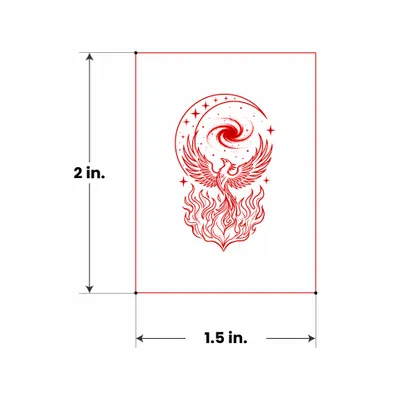 1.5 in x 2 in