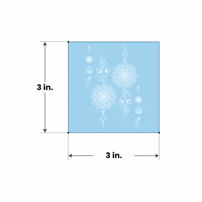 3 in x 3 in