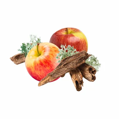 Oak Moss - Custom Stickers Now