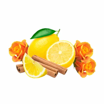 Amber - Custom Stickers Now