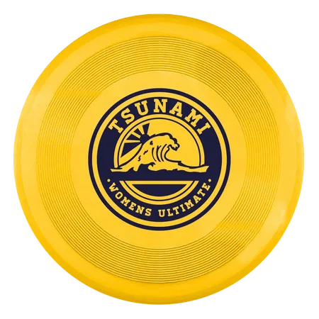 Disco Volador - Custom Stickers Now