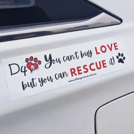 Bumper Stickers - Custom Stickers Now