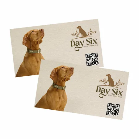 QR Businesss Cards - Custom Stickers Now