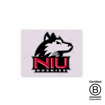 Seed Paper Panel Cards - Custom Stickers Now