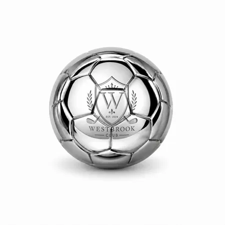 Soccer Ball Stainless Steel Ice Cubes - Custom Stickers Now