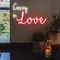 Crazy In Love Neon Sign - Custom Stickers Now