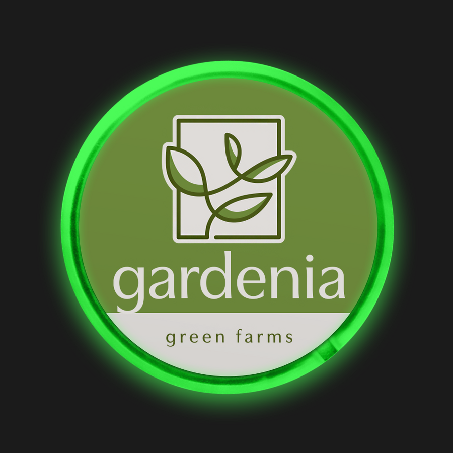 Light Button Pins - Custom Stickers Now